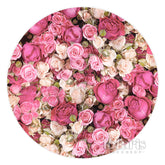 Rosa Und Rot Blumen Wand Glücklich Geburtstag Kreis Hintergrund